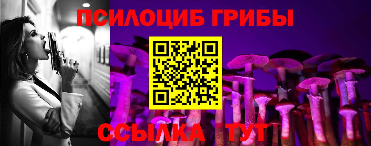 Псилоцибиновые грибы мицелий  Псилоцибиновые грибы Psilocybine cubensis  Котельники  Вход с VPN 